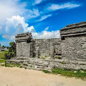 alika-204-at-gardens-tulum.quintano-roohotels.com/